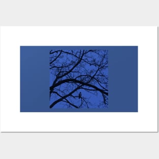 Nightfall in blue Posters and Art